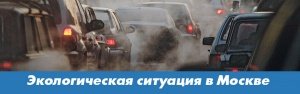 Важнейшая экологическая проблема в Москве 