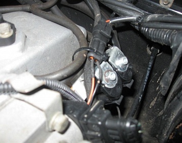 Greatwall Deer фото 6