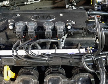 Kia Rio 2016 года 122.4 л.с. 1591 фото 2