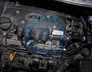 Kia Rio 2017 года 122.4 л.с. 1591 фото 2