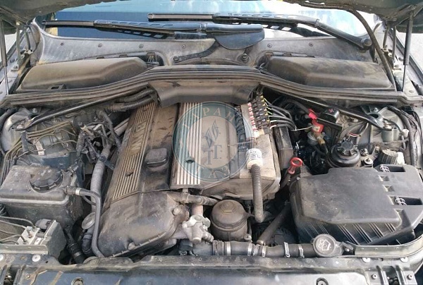 Форсунки ГБО BMW 530 2006 года 258.3 л.с. 2996