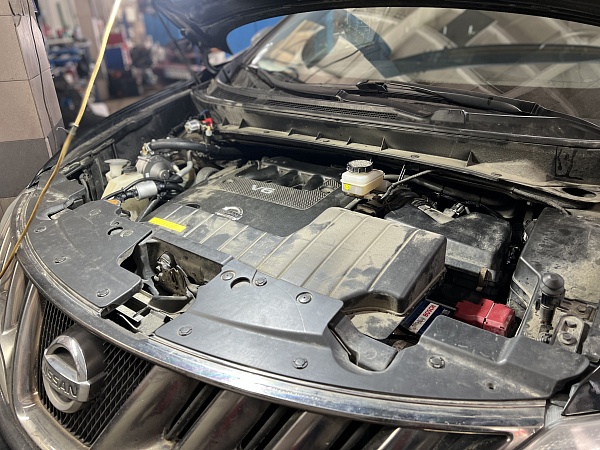Nissan Murano 2010 года 248.8 л.с. 3498