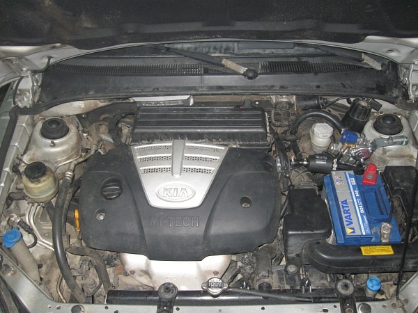 Kia Rio