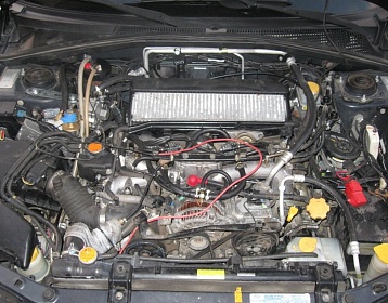 Subaru Forester фото 4