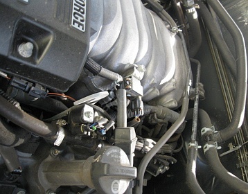 Toyota Sequoia фото 2