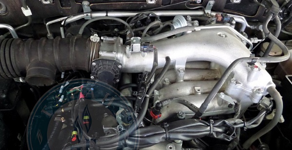 Форсунки ГБО на Mitsubishi Pajero 2014 года 178.1 л.с. 2972