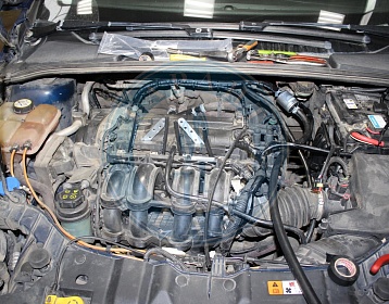 Ford Focus 2014 года 105 л.с. 1596 фото 1