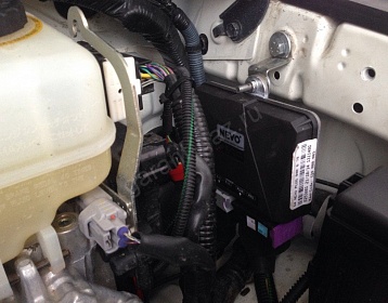 Toyota Fg cruiser фото 2