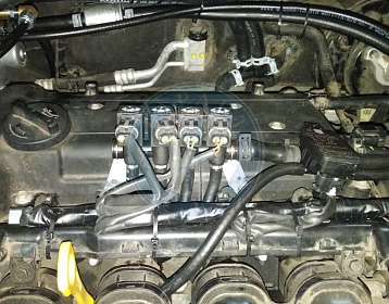 Kia Rio 2012 года 122.4 л.с. 1591 фото 5