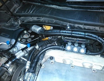 Honda Crosstour фото 2