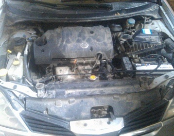 Nissan Primera фото 3