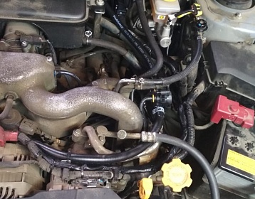 Subaru Forester 2010 года 149.6 л.с. 1995 фото 3