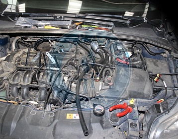 Ford Focus 2014 года 105 л.с. 1596 фото 2