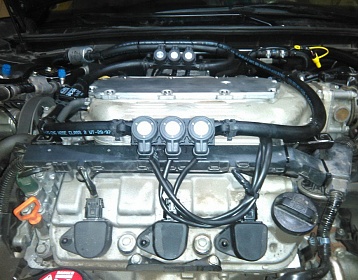 Honda Crosstour фото 3