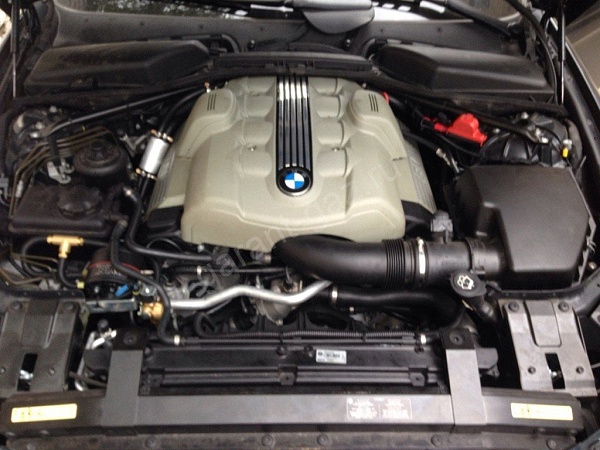 BMW 6