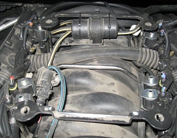 BMW X5 4.4L фото 7