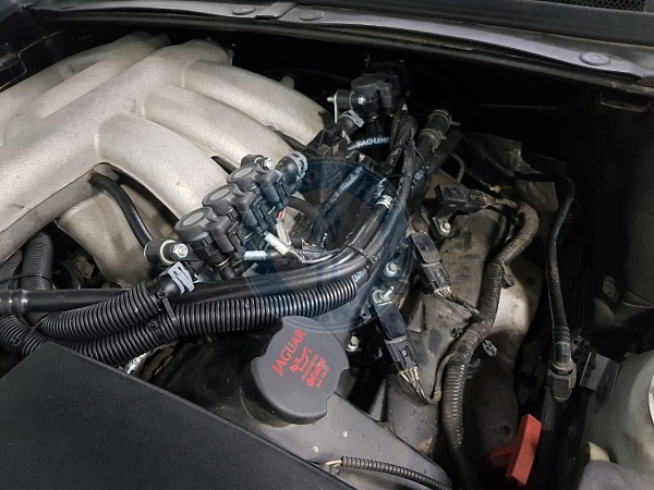 Jaguar Xf-Serie 2011 3.0 238