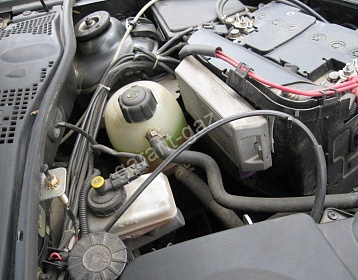 Renault Logan фото 5