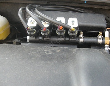 Toyota Prius фото 1