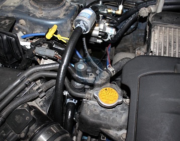 Subaru Forester 2006 года 229.8 л.с. 2457 фото 1