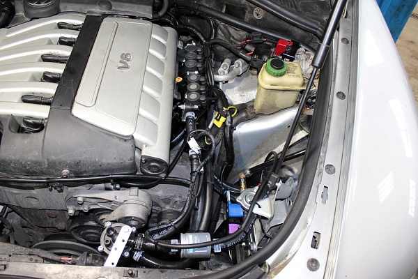 Volkswagen Touareg 2005 года 240.7 л.с. 3189