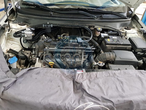 Kia Rio 2017 года 107 л.с. 1396