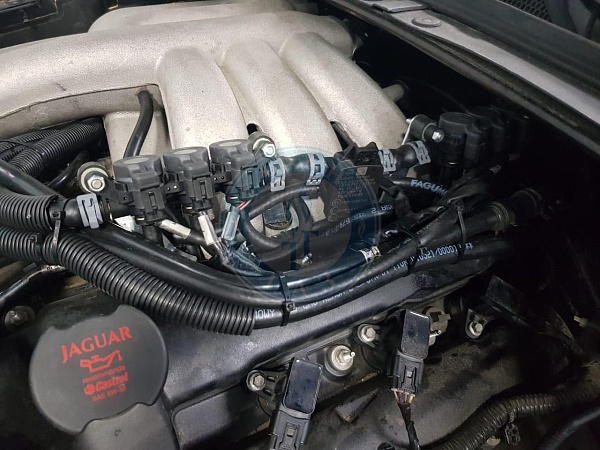 Jaguar Xf-Serie 2011 3.0 238