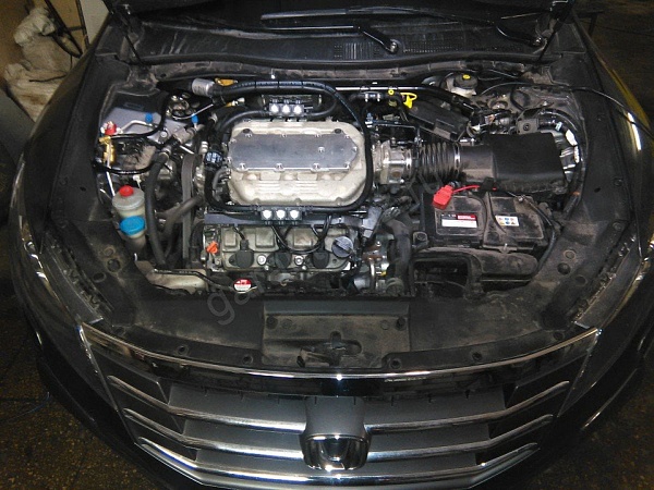 Honda Crosstour