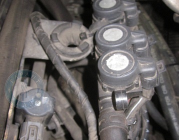 Infiniti Qx56 2008 года 324.9 л.с. 5552 фото 1