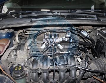 Ford Focus 2014 года 105 л.с. 1596 фото 4