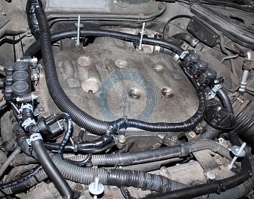 Infiniti Fx35 2005 года 282.8 л.с. 3498 фото 4