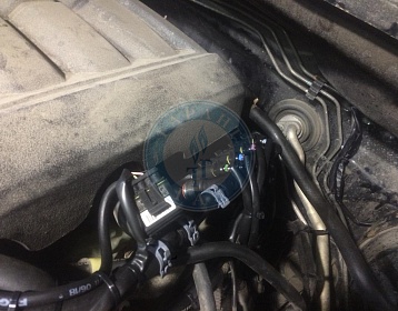 Toyota Tundra 2008 года 386 л.с. 5663 фото 5