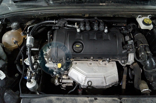 Форсунки ГБО на Peugeot 308 2012 года 119.6 л.с. 1598 2