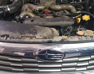 Subaru Forester 2010 года 149.6 л.с. 1995 фото 1