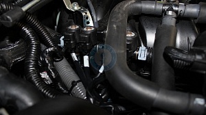 Lexus lx570 2018 года 367.1 л.с. 5663