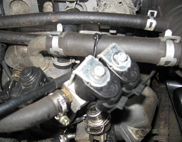 Greatwall Deer фото 5