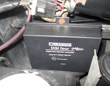 Greatwall Deer фото 4