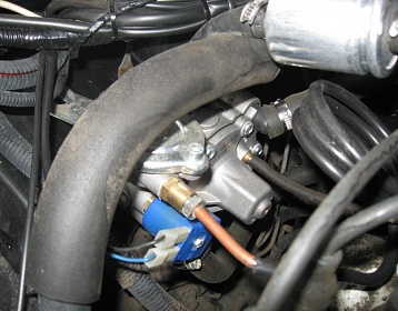 Greatwall Deer фото 2