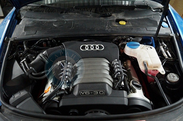 Газовые форсунки Audi A6 2005 года 217.5 л.с. 2976